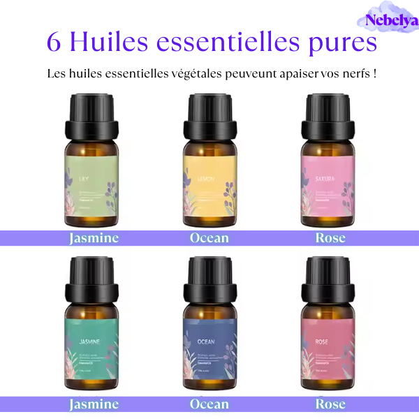 Pack Huiles Essentielles – 6 Fragrances Élégantes
