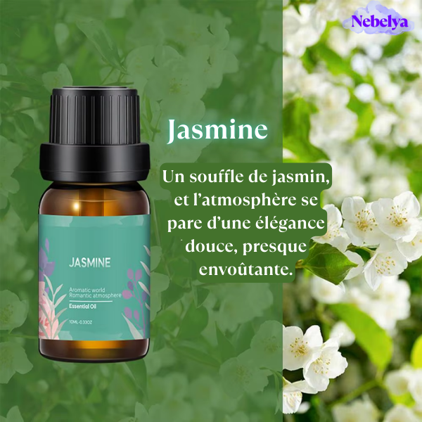 Pack Huiles Essentielles – 6 Fragrances Élégantes