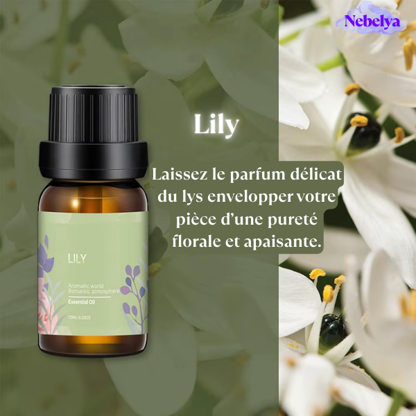Pack Huiles Essentielles – 6 Fragrances Élégantes