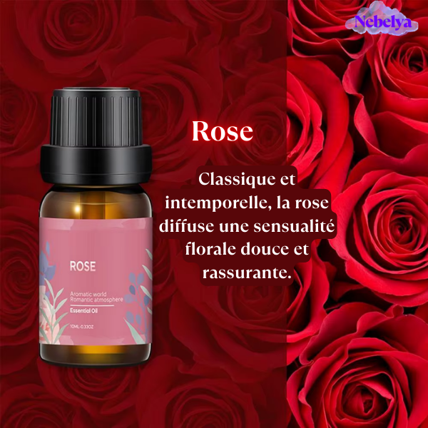 Pack Huiles Essentielles – 6 Fragrances Élégantes