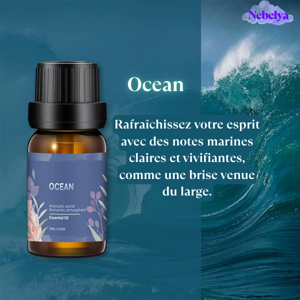 Pack Huiles Essentielles – 6 Fragrances Élégantes