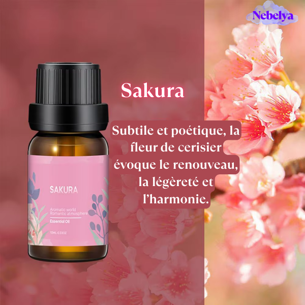 Pack Huiles Essentielles – 6 Fragrances Élégantes